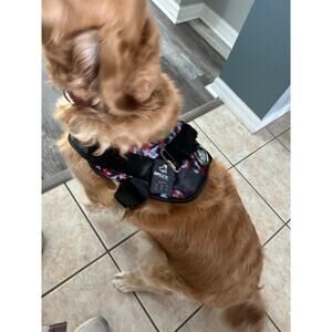 BoLux Tactical Dog Harness – NWT – XL Red or L Gray – No Pull – Heavy Duty